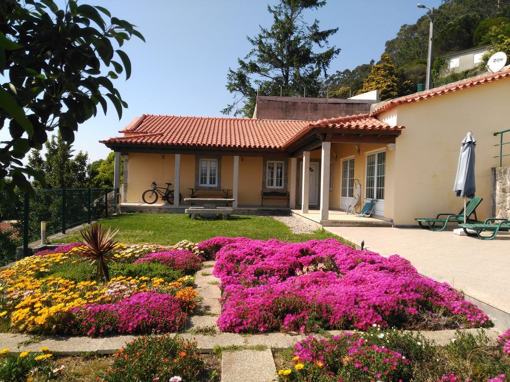 Lovely Sunny-House Viana do Castelo Buitenkant foto